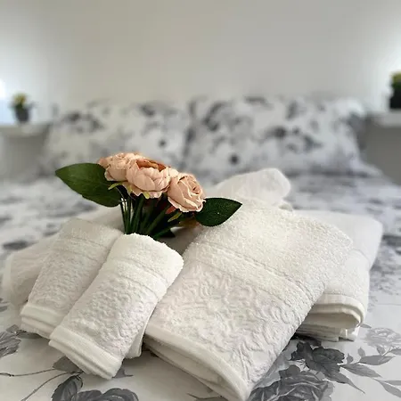 公寓 La Gatta - Al Centro Di