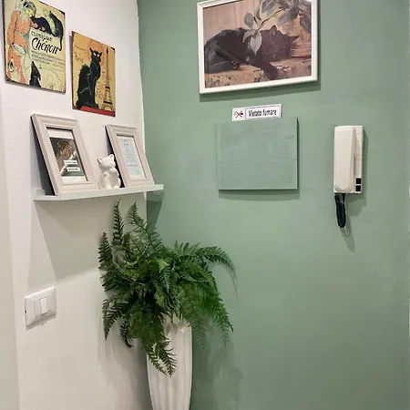 La Gatta - Al Centro Di *