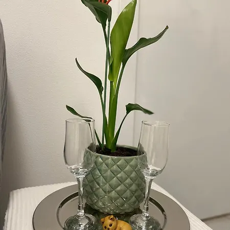 La Gatta - Al Centro Di Apartamento La Spezia