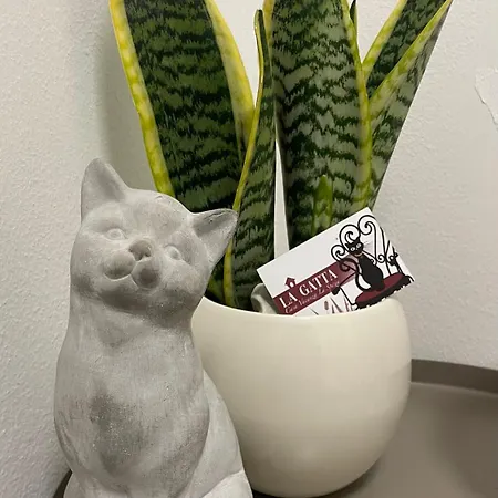 Apartamento La Gatta - Al Centro Di La Spezia